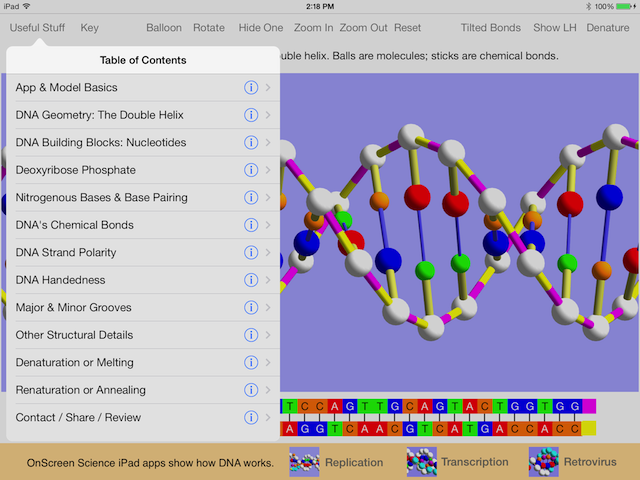 dna model for iPad