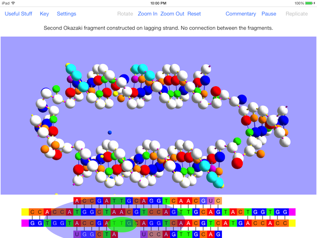 replication shot